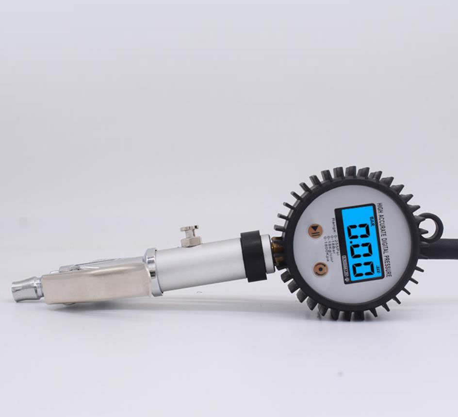 digital pressure gauge (10)