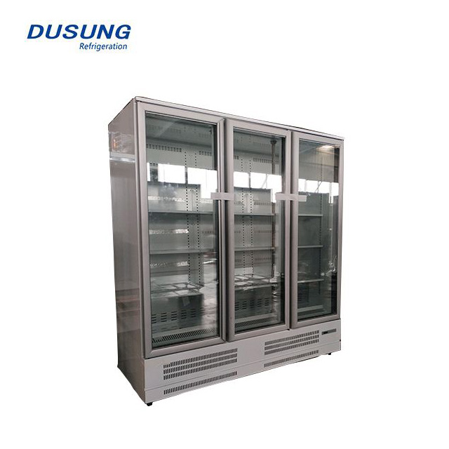 Supermarket Upright Glass door Freezer/Fridge Plug-in/Remote 