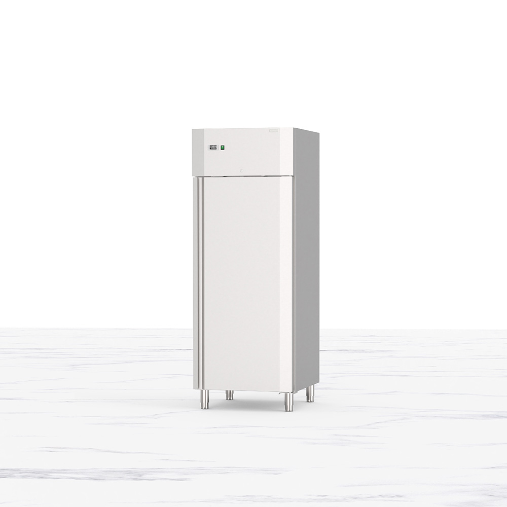 Upright Stainless Refrigerator