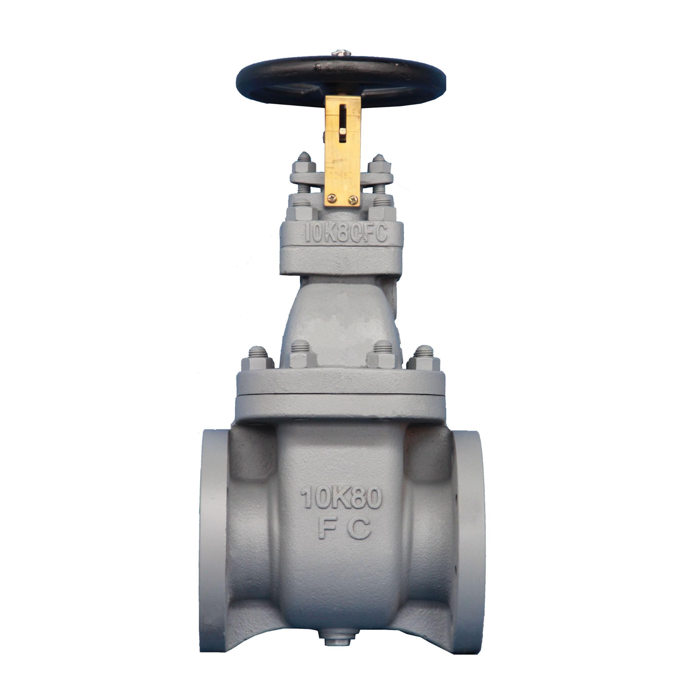 JIS F 7364 Cast iron 10K gate valve