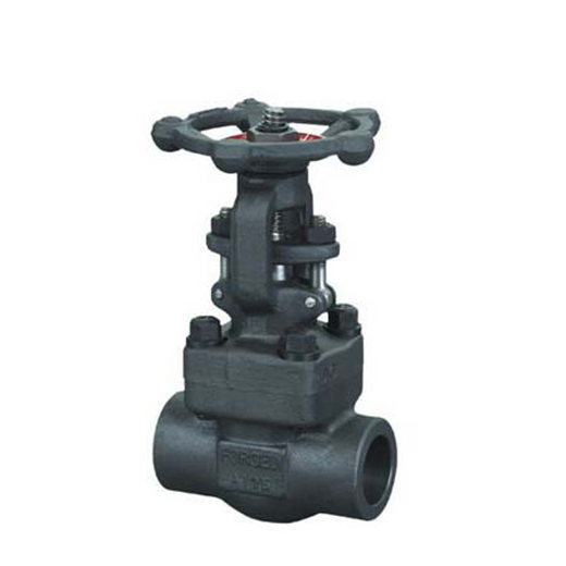 800lbs A105/F316 Forged Steel Gate Valve