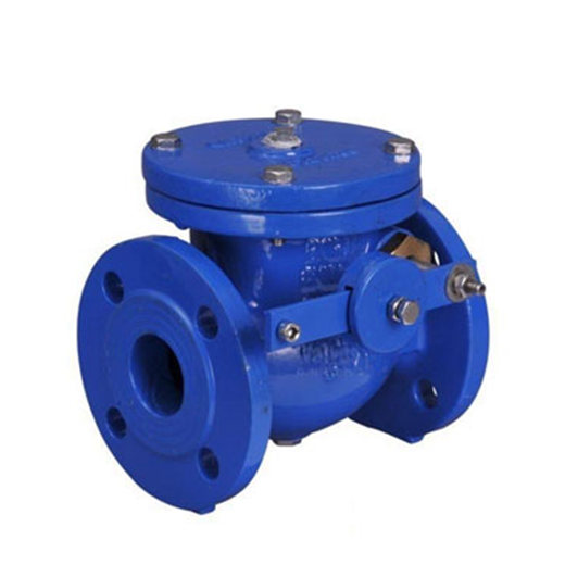 MSS SP-71 Class 125 Cast Iron Swing Check Valve With Weight