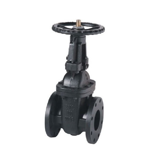MSS SP-70 Class 125 OS&Y Cast Iron Gate Valve