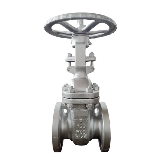 Efficient and Reliable Disk Check Valve for Industrial Use
