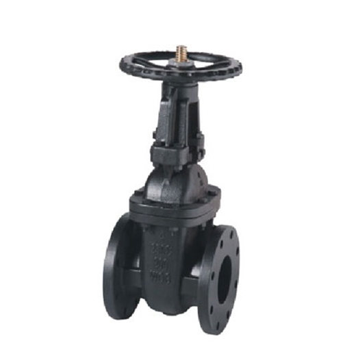 MSS SP-70 Class 250 OS&Y Cast Iron Gate Valve