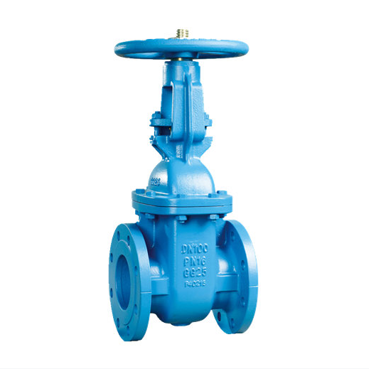 Sustainable and Long-lasting Cast Iron Gate Valve for Industrial Use