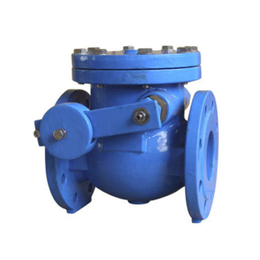 BS 5153 PN16 Cast Iron Swing Check Valve with Weight