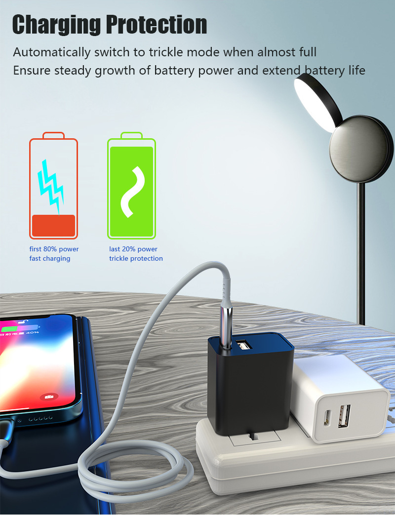 Japanese PD20W Charger D3