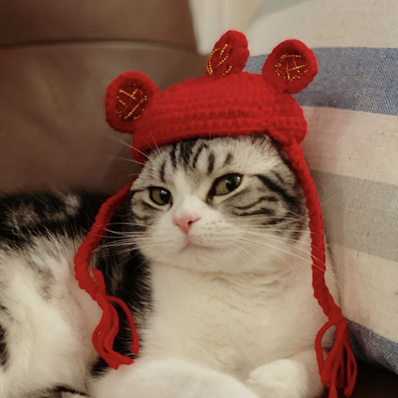 Funny Cat Hat Headwear for Puppy Cat Cartoon Shape Pet Cap 