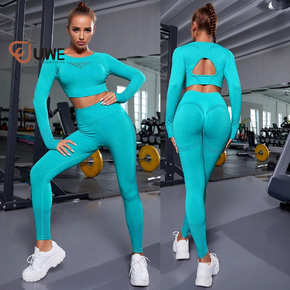 Sportswear Workout Gym Seamless Long Sleeve Yoga Set